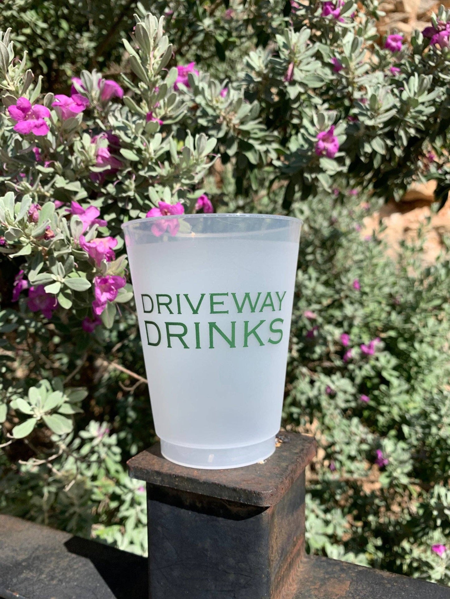 Driveway Drinks Frosted Cups - Summer: Pack of 6
