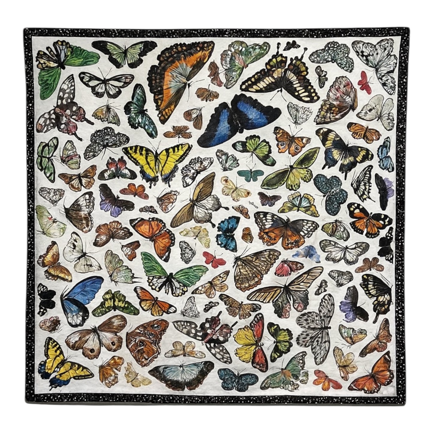 Study of Butterflies Wild RAg