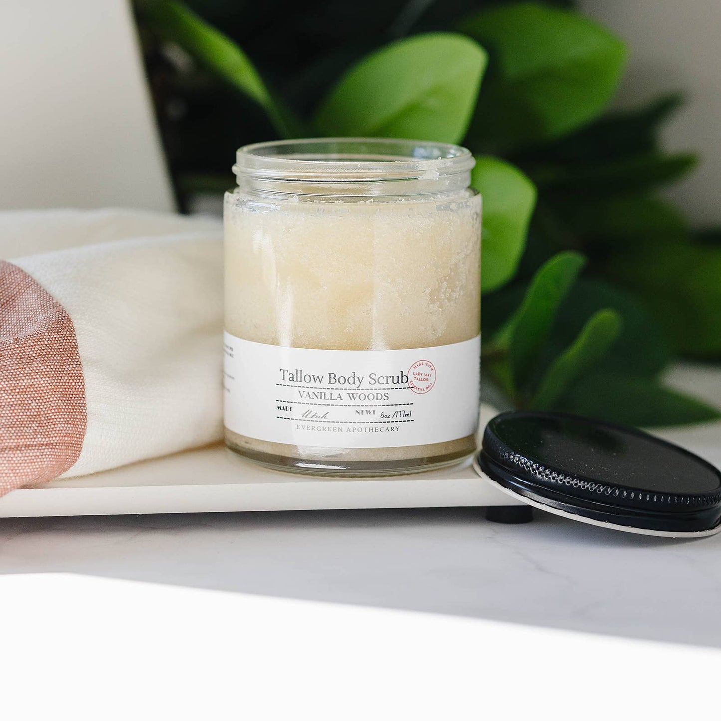 Tallow Sugar Scrub, made with Lady May Tallow, 6oz: Pine